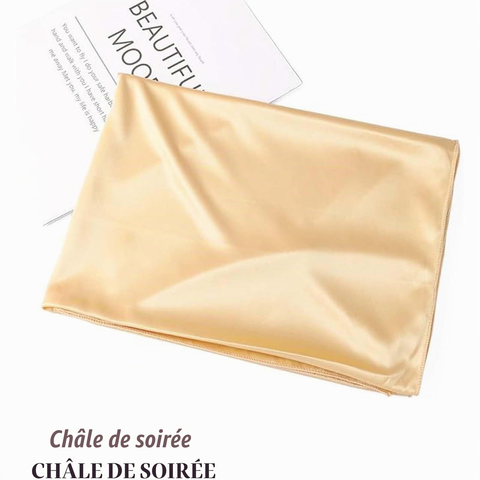 VIDSTM Mousseline de Soie Etoles Femme 200 * 70CM Foulards Femme Doux et Agréable pour la Peau Rouge Etole Femme Chic Peut être Associé à des Robes de Soirée, des Robes de Mariée