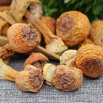 Moskvadan Yuliya Vudman onlayn porno Yigitlarga jim bolishni orgatayotgan qizning porno videosi