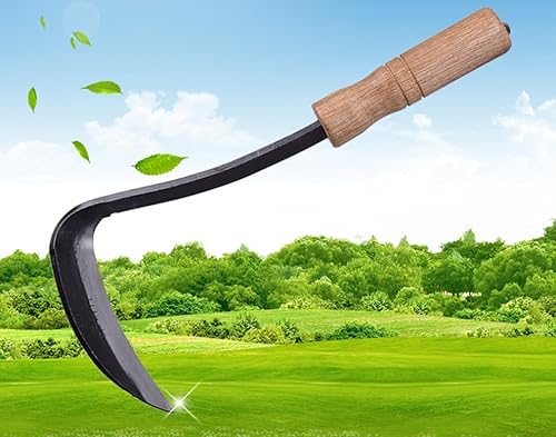 LI JIN Japanische Handhacke Profi Gartenhacke