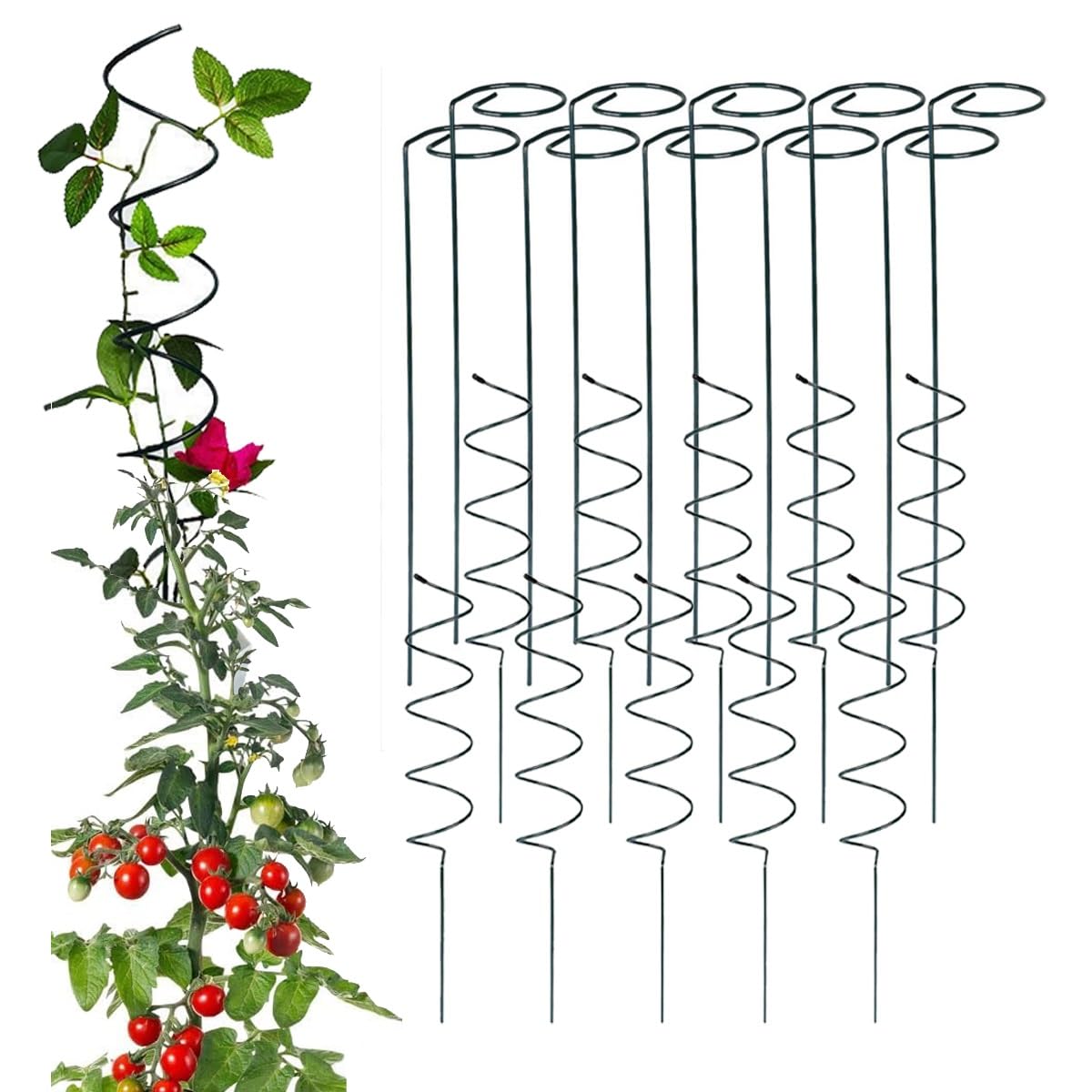 GLAZZY Spiralförmige Tomatenstäbe, gedrehte Tomatenstäbe, Pflanzenstützen, spiralförmige Tomatenkäfige for Kletterpflanzen, Gartenstabturm for Gemüse und Weinreben(Straight*10+Spiral*10)