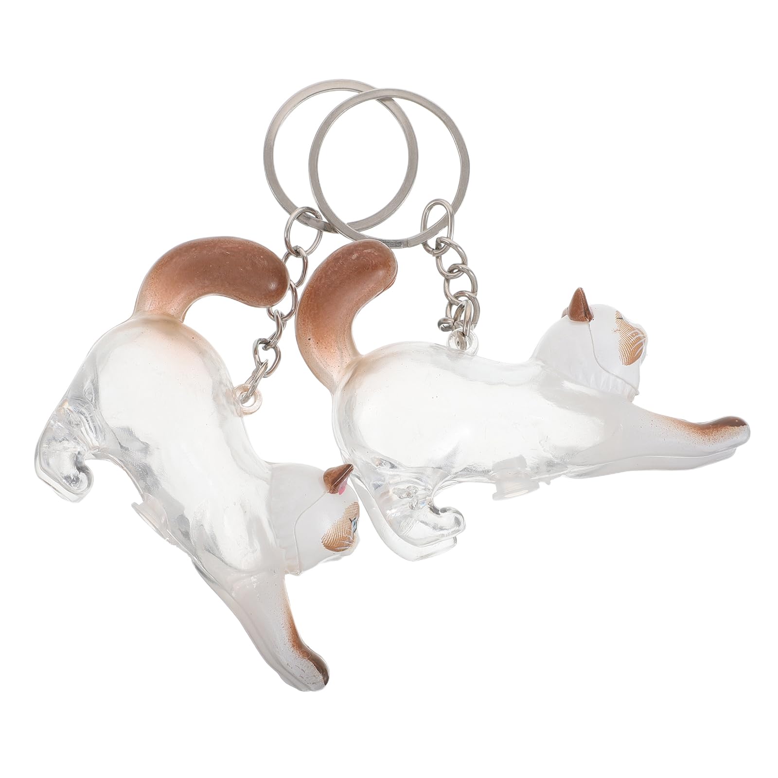 Llavero Conmemorativo para Gatos FONDOTIN para llevar el recuerdo de tu mascota contigo
