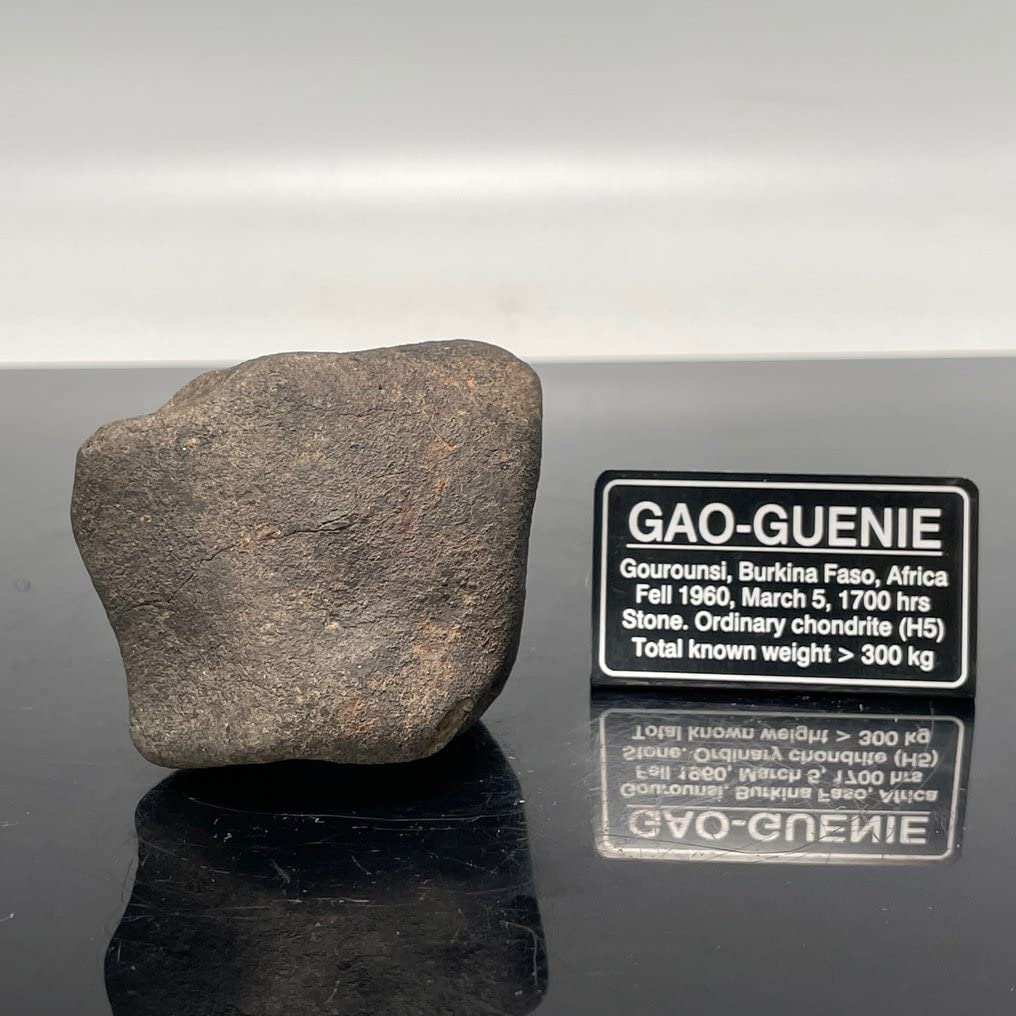 Amazon | SCIENCE 隕鉄（石質隕石）「ガオ・ギニー隕石（Gao-Guenie 