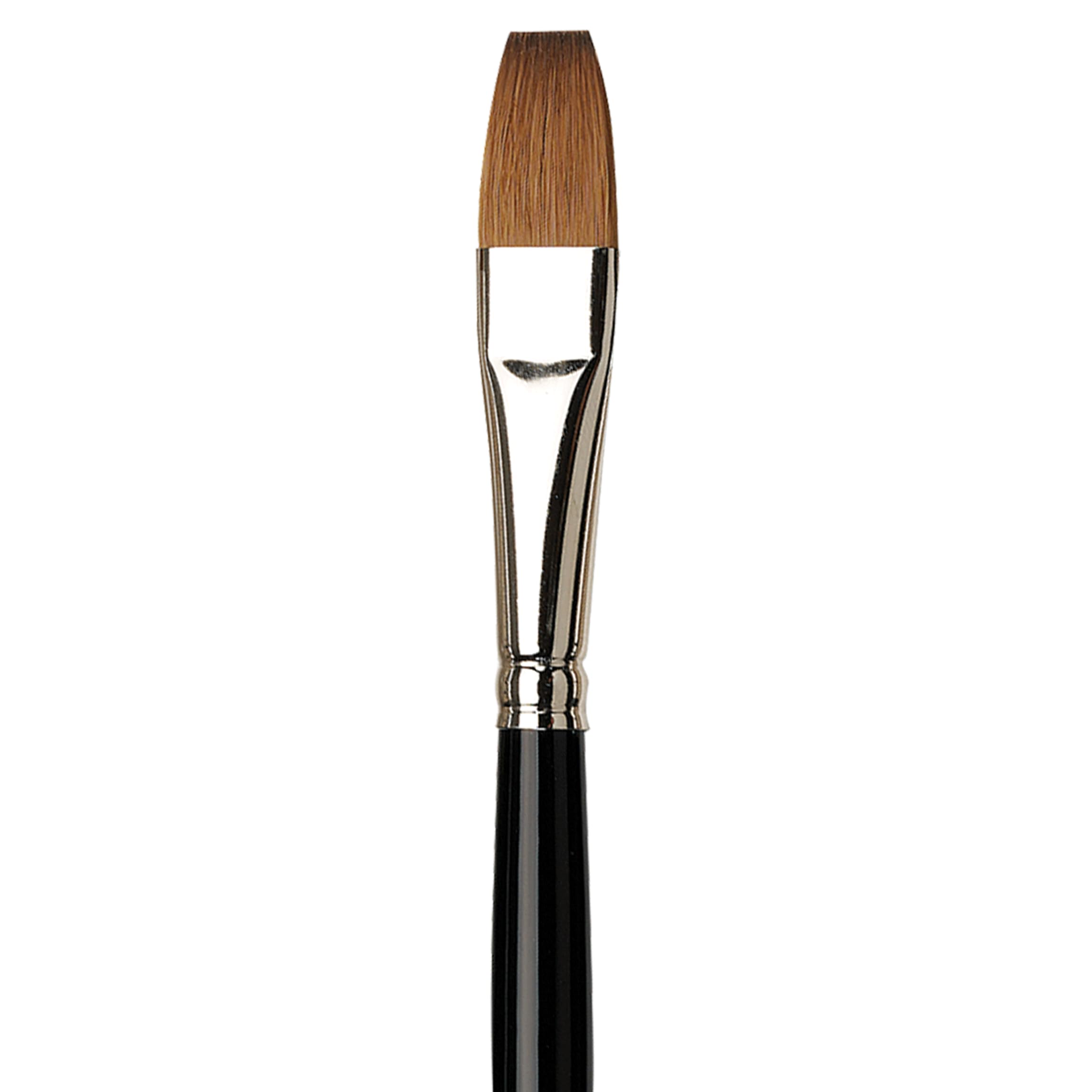 Amazon.co.jp: ダヴィンチ 水彩画筆 シリーズ1301 マエストロ 12号 平