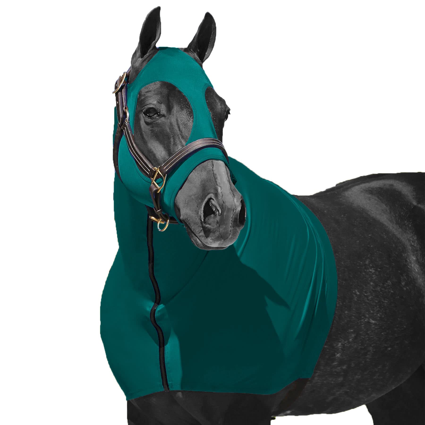 Resistance Horse Hood Slinky Lycra Zippered Mane Braid Shoulder Guard - Horse Sleazy Slickers Care Sheet