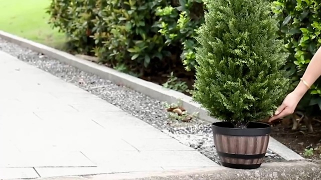 Amazon.com - Artificial Topiary Tree 2-Set - 4 Feet Tall UV