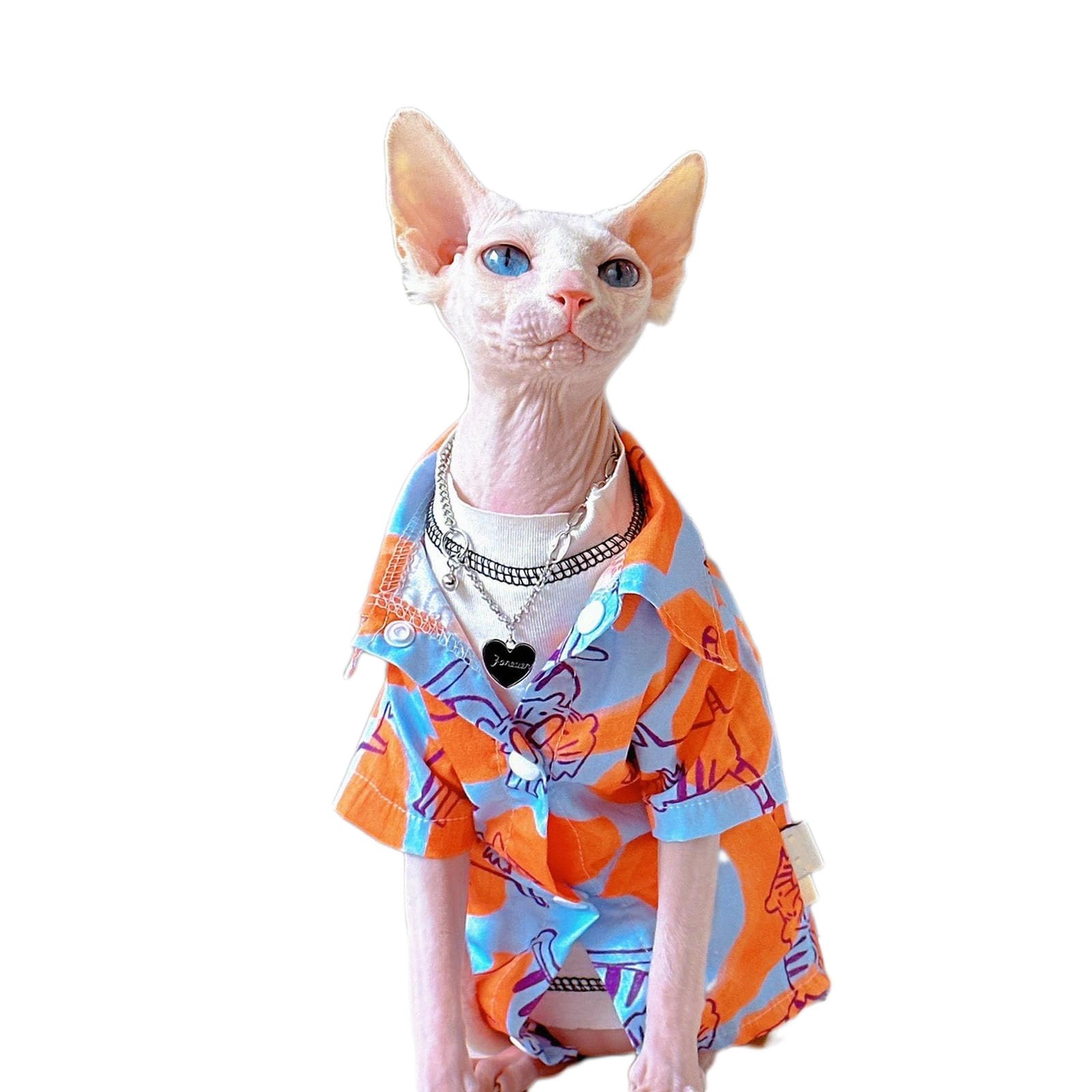 スフィンクス猫服、恐竜コスチューム、毛のない猫の暖かい服コーニッシュレックスとデボンレックス(レッド、XL(8-10ポンド))  スフィンクス猫向け機能的な服21選！寒さ対策にぴったりの猫服 - 猫服専門通販 ねこはぴ, image size:1600x1600