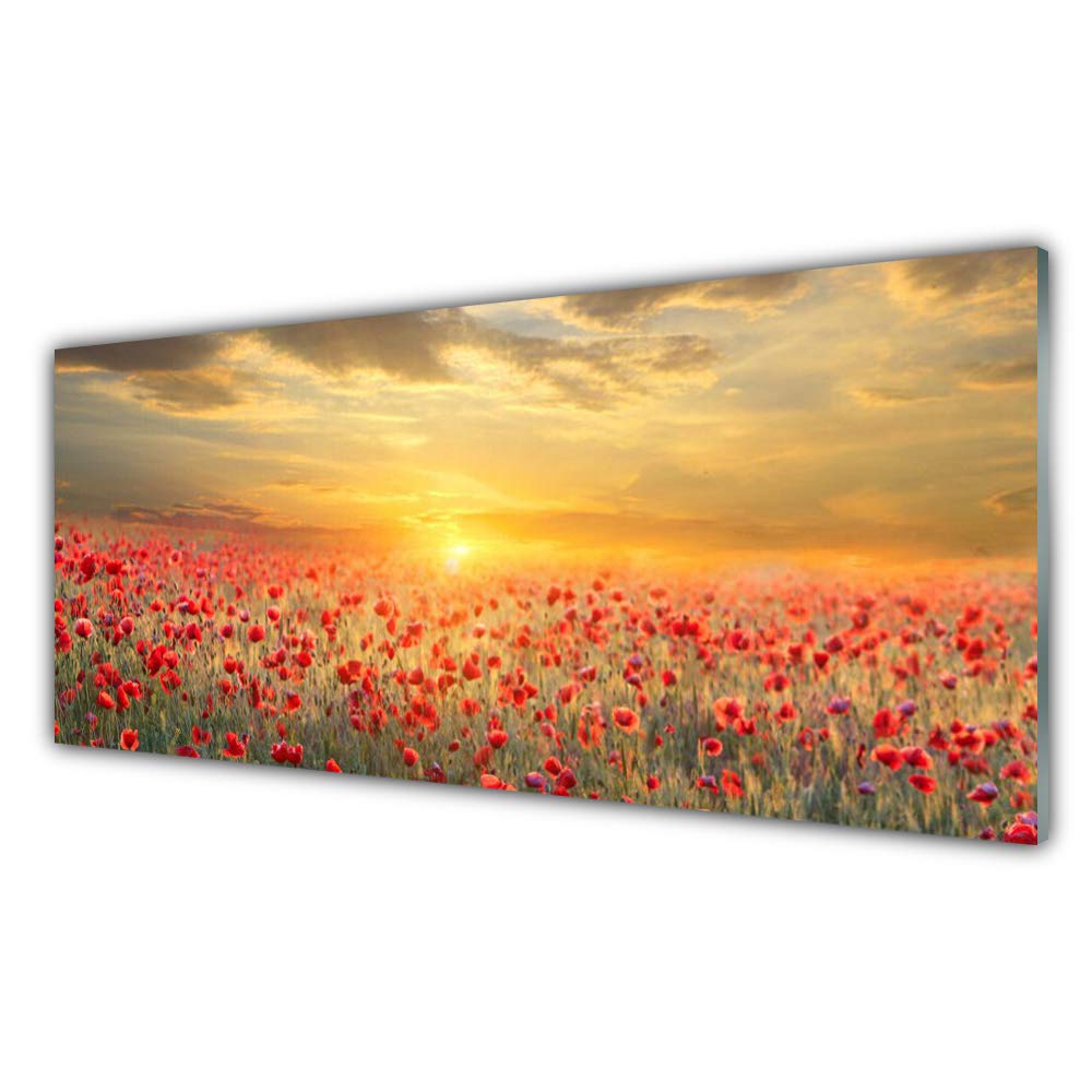 Décoration Déco Design Fleur de Coquelicot pour Salon Verre Trempé 125x50