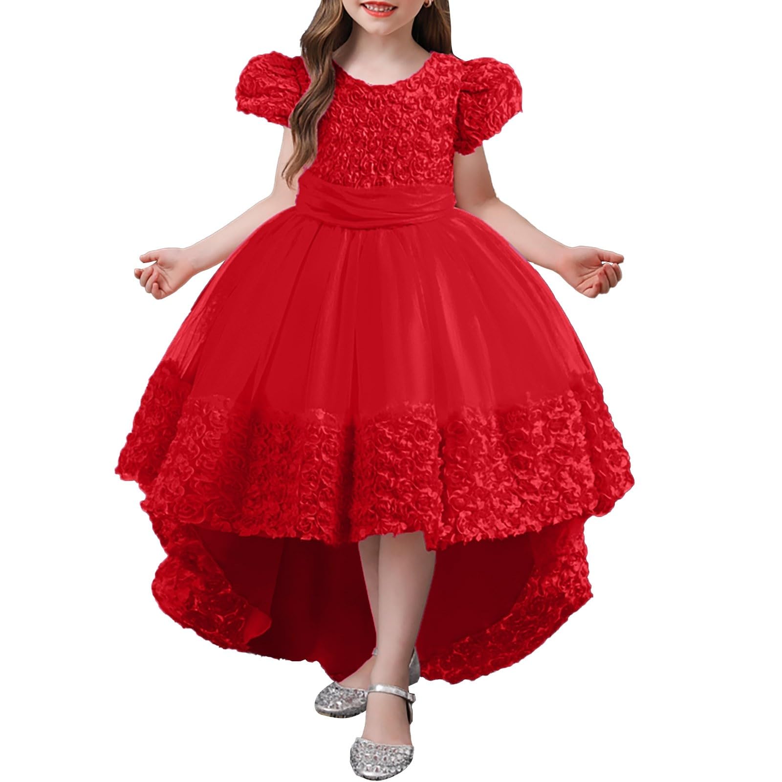 HLTYGWX Kleider für Mädchen, Rock, Mädchenkleider, Kleider für Blumenmädchen, Spitze, Hochzeit, Party, formelles langes Kleid