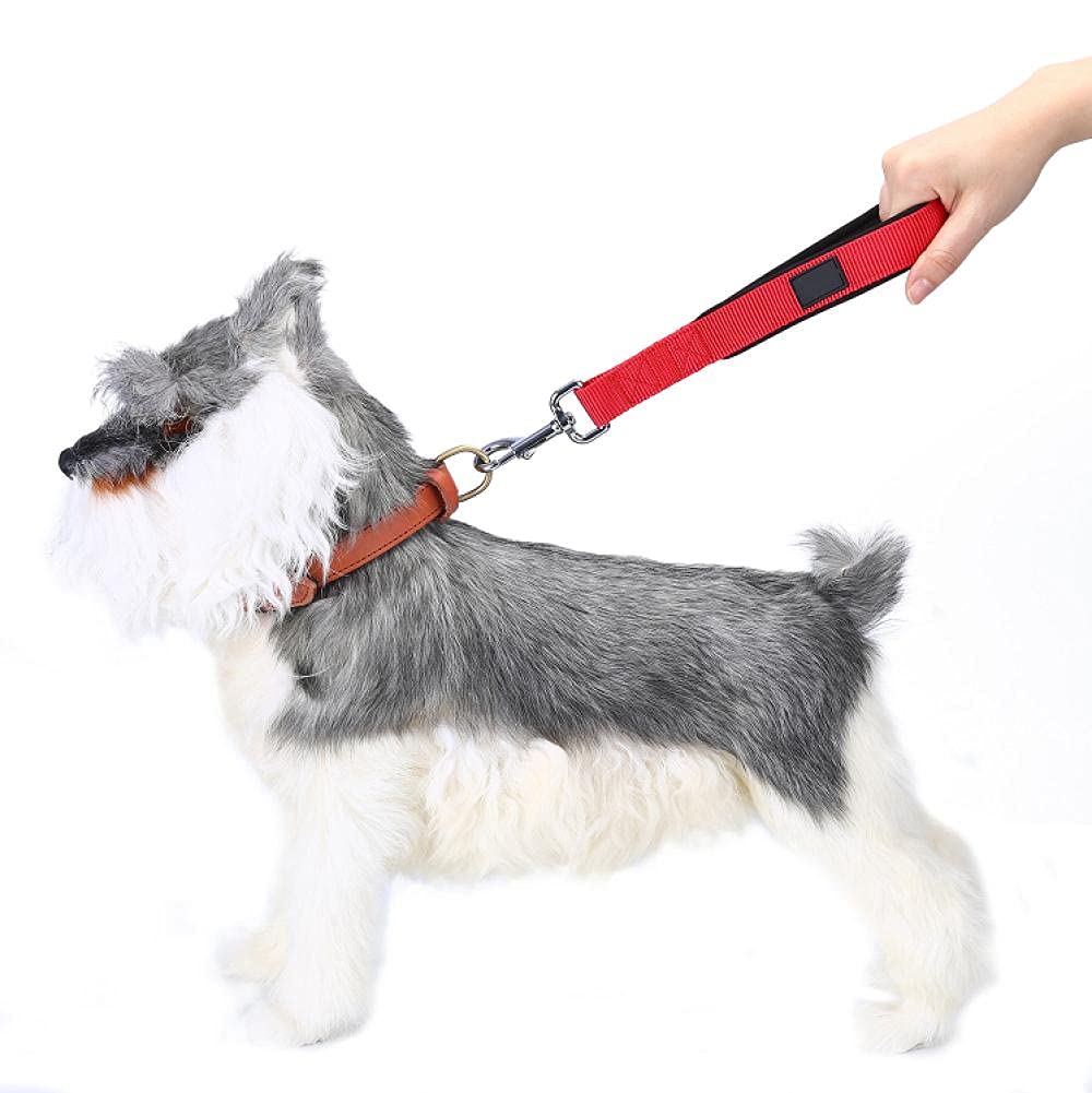 Correa Corta para Perros, Resistente, roja, con asa Acolchada y cómoda, para Perros medianos y Grandes, Reflectante, Talla M, Correa de tracción para Perros (M)