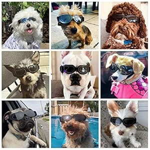 Namsan dog goggles small breed uv lens doggy sunglasses for small dogs eyes protection outdoor antifogging snowproof windproof dog glasses adjustable bright black   cucciolini doodles