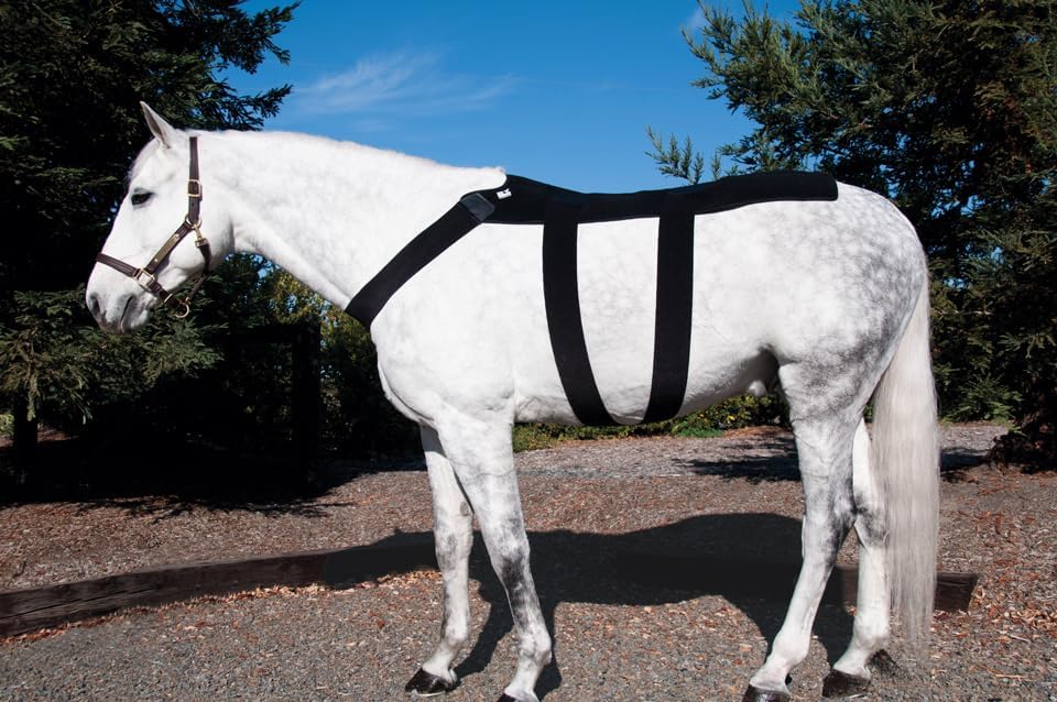 Ice Horse Back Blanket for Equine Therapy - Comes with Ice Packs Inserts