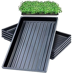 kweekschalen zonder afvoergaten, 50 x 25 cm, perfecte kweekschalen voor zaailingen tuinieren binnenshuis, microgroen, tarwegras, hydrocultuur (10 zwart)