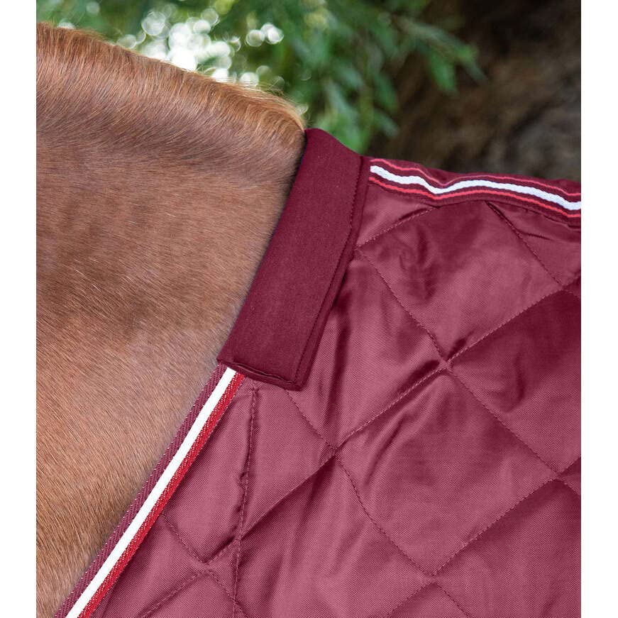 Premier Equine Manta de establo para Caballo Tuscan 100 g