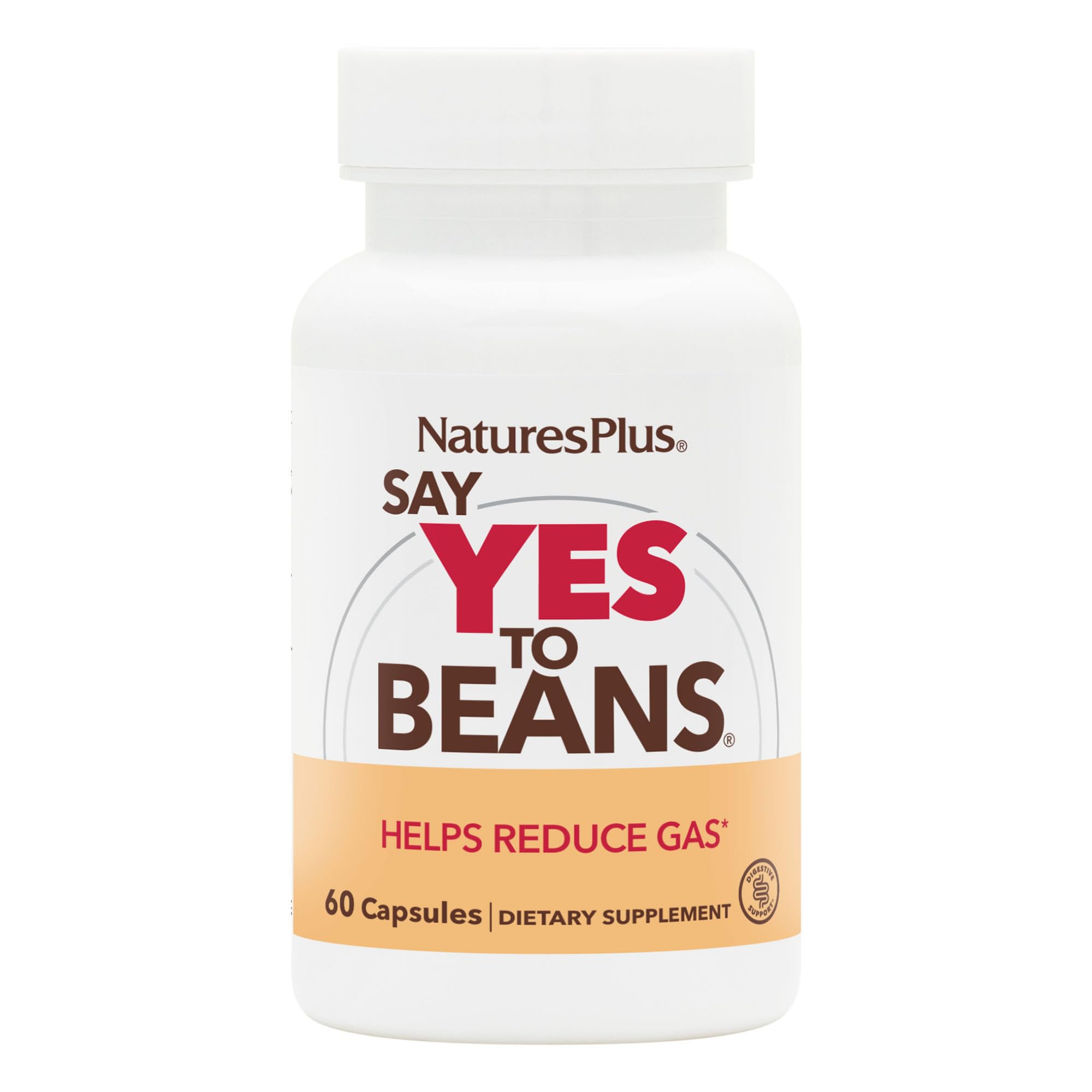 NaturesPlus Suplemento de multi-enzimas com gengibre, 60 cápsulas