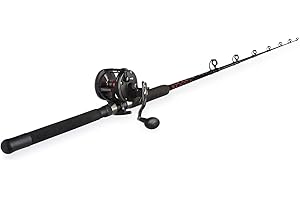 Penn Warfare™ Star Drag Combo: Elite Spinning Reel and Fishing Rod Partnership