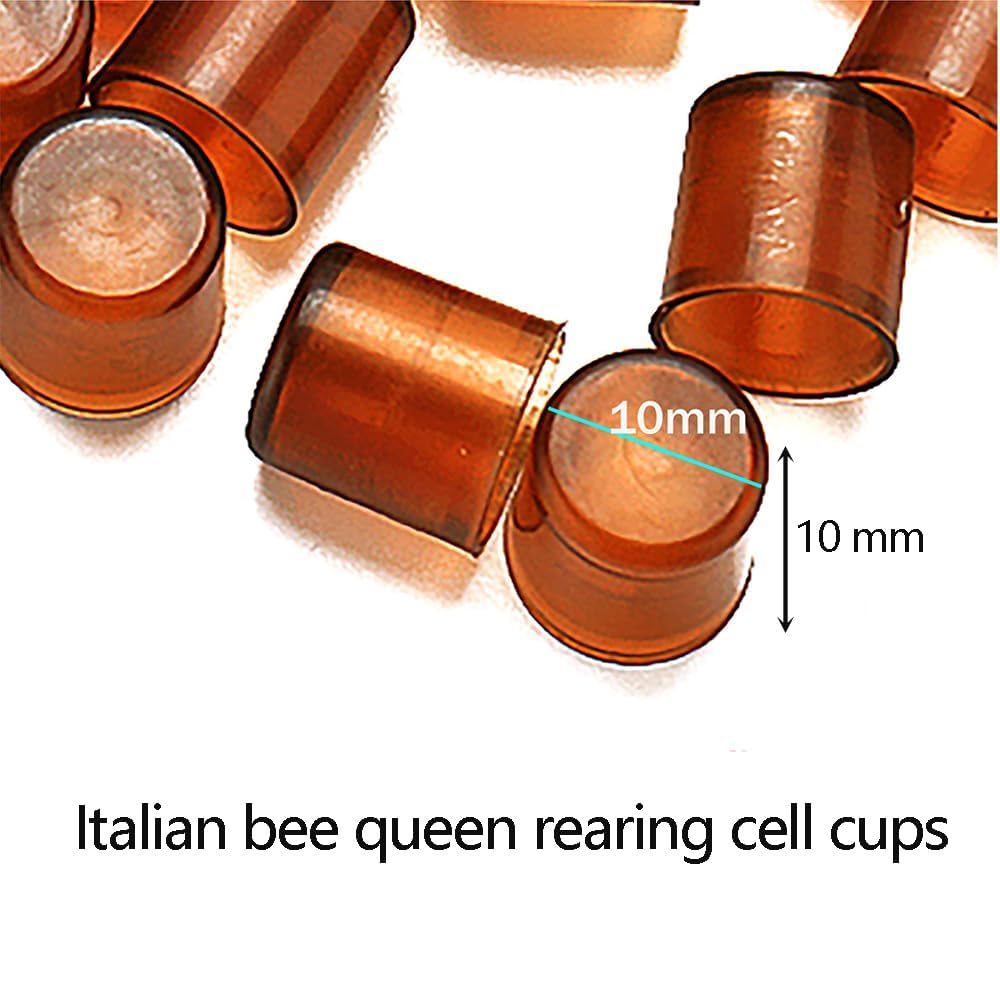 Oikabio Kit Complet Élevage Reine Abeilles - 110 Pièces Boîte De Culture + Gobelets + Cages