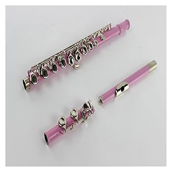 フルート 本体 カバーキーエングレービング装飾 Amazon | Eastar フルート カバードキー 銀メッキ 16穴 Eメカ