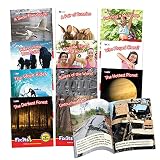 Fix Its Decodable Readers Suffixes Non-Fiction Phase 6, Set of 12