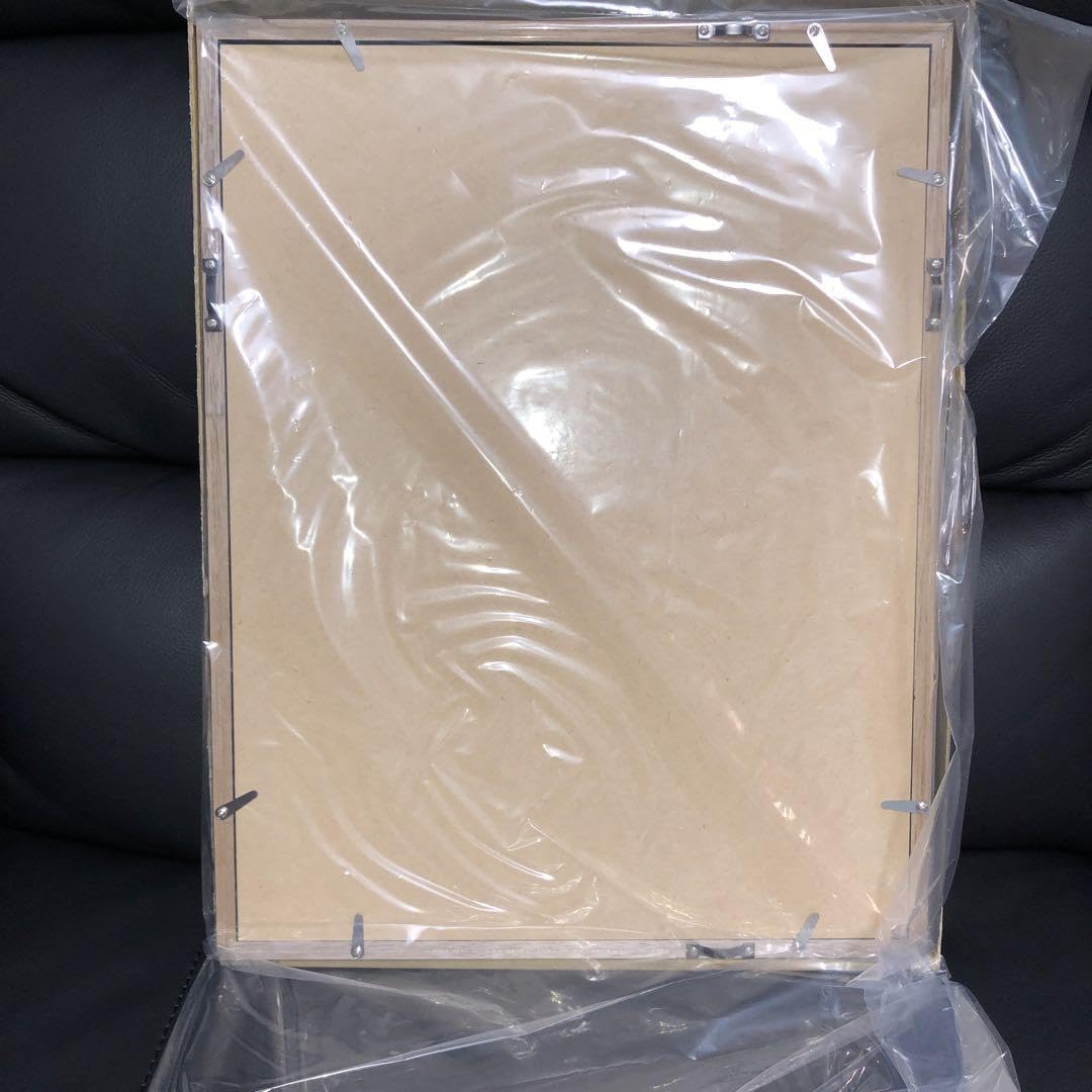 ☆限定特価☆ 桂正和 シャドウレディ ファイングラフ 複製原画 Amazon.co.jp: 桂正和 シャドウレディ A4クリアファイル : おもちゃ