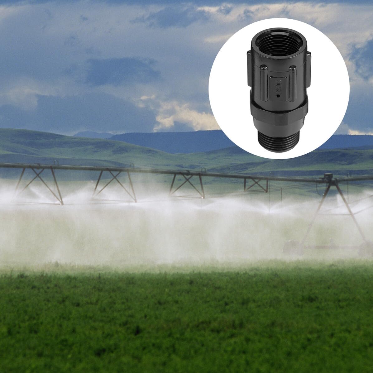 Régulateur de Pression D'irrigation Plastique 30 Psi 3/4 Pouce Noir