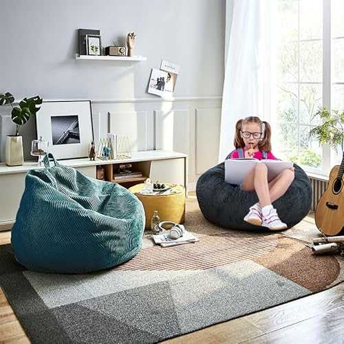 Kisoy Classic Bean Bag Chair, With Faux Rabbit Fur Cover For Teens And Kids, Memory Foam Bean Bag Chairs, Ultra Soft Faux Fur Fabric thumb #1