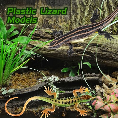 JSMTKJ Realistische Eidechse Spielzeug - 2 Stücke Bunte Plastik Modelle für Kinder, Halloween und April Fools Day Prop