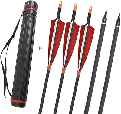 ZSHJG 12 Pieces 30 inch Carbon Arrows Archery Hunting Targeting Arrow Spine 500 Practice Arrow with Arrow Quiver for Recurve Compound Bow (Arrows+Quiver)