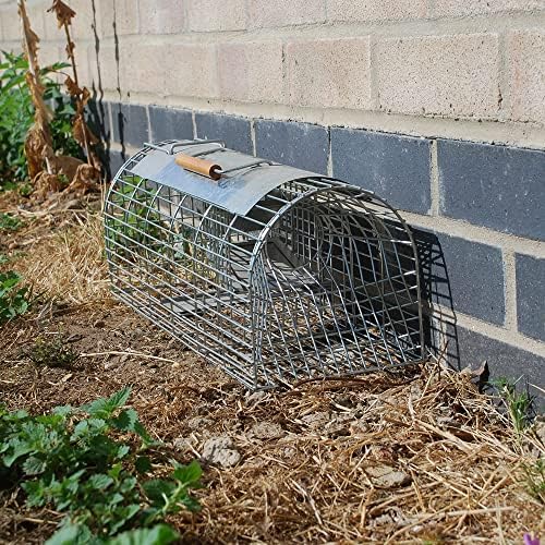 The Big Cheese Ultra Power Rat Cage Trap - Humane Rat Trap, Catch Alive, Metal