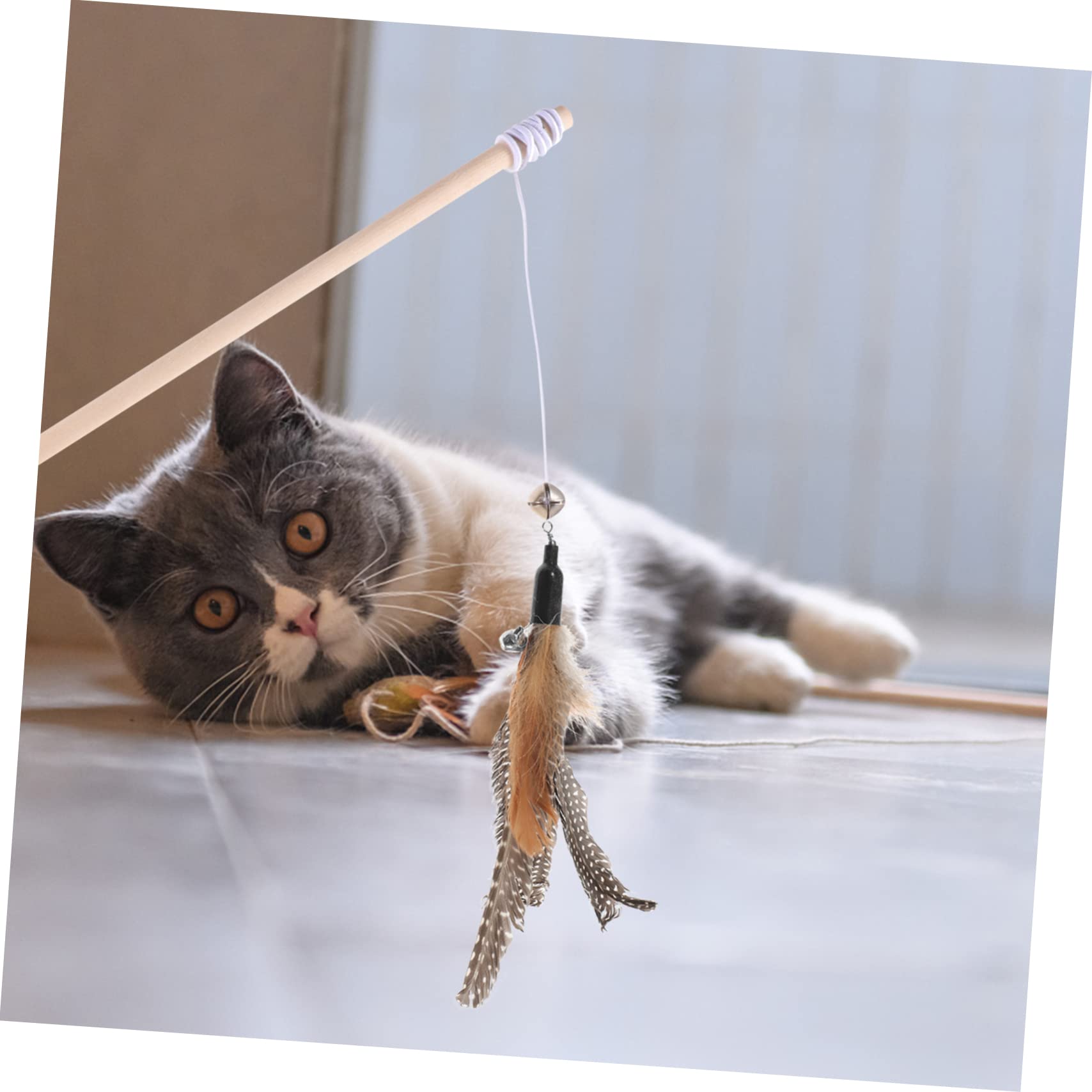 minkissy Lot De 5 Recharges pour Chat Jouets Interactifs pour Chaton Jouets De Remplacement Faciles À Utiliser 8 Pièces X 5
