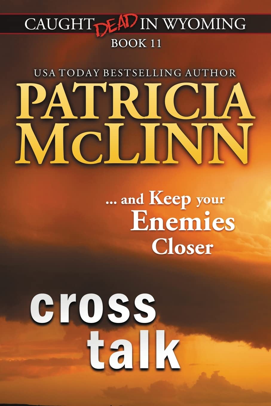 Buy Cross Talk (Caught Dead in Wyoming, Book 11) — BookShops.in