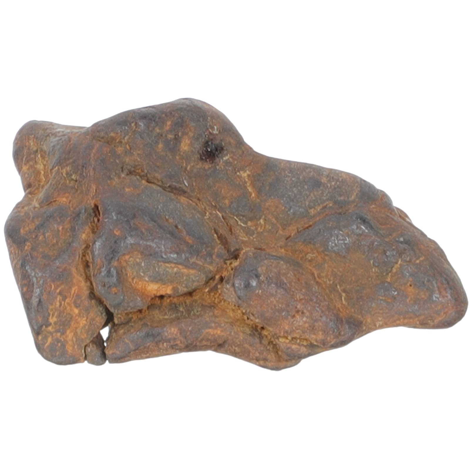 Toyvian Pequeñas Rocas De Meteorito Real Espécimen De Litosiderita Estudio De Las Estrellas Lunar Espécimen De Minerales De Rocas Lunares Herramienta Niño Comedor