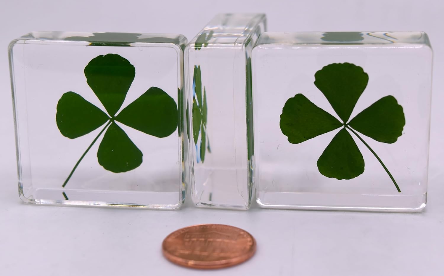 38 mm großes echtes vierblättriges Kleeblatt aus kristallklarem Lucite-Harz. Exemplar „Glücksblatt“ zum St. Patrick's Day, Geschenk- und Bastelsammlung für Botanik, Wissenschaftsunterricht und Schreib