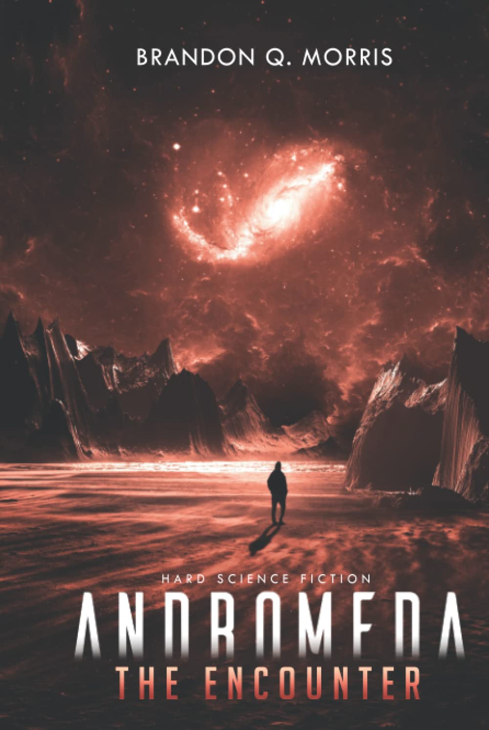 Andromeda: The Encounter: Hard Science Fiction (The Long Journey)
