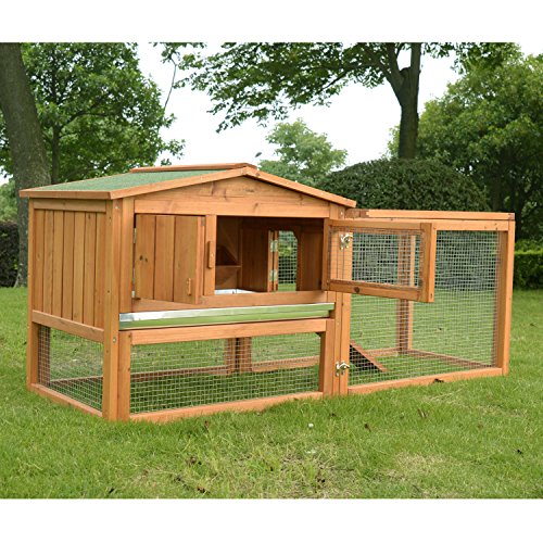 Best Rabbit Hutch Design 10Reviewz