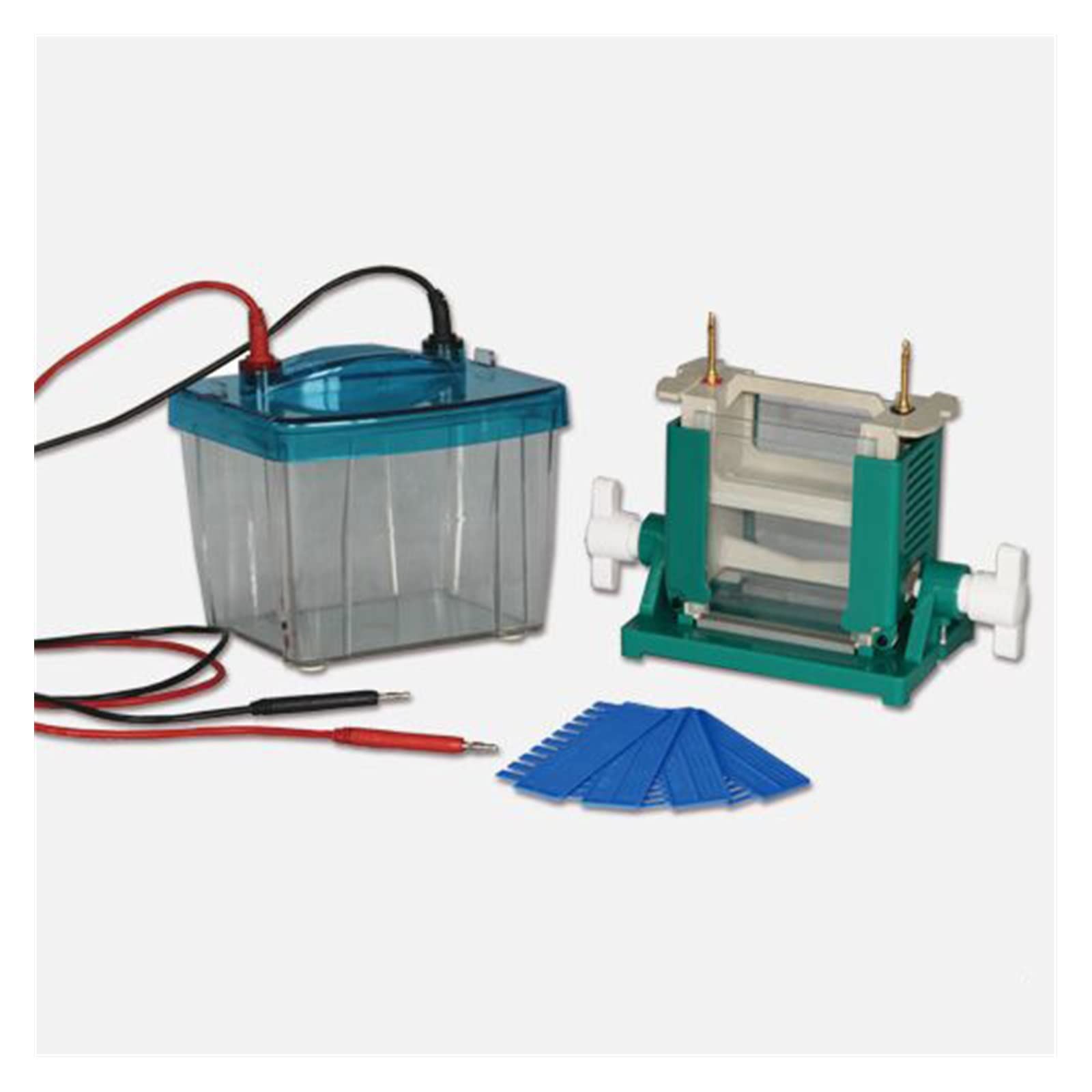 Apparecchiatura per elettroforesi, DYCZ-25D Tipo Doppio strumento di elettroforesi verticale Stampaggio ad iniezione Strumento di elettroforesi su gel proteico DYCZ-25D per aule e piccoli laboratori