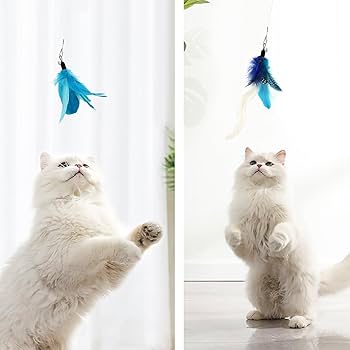 Amazon | SONGWAY 猫おもちゃ ねこじゃらし 羽 昆虫 ふわふわ