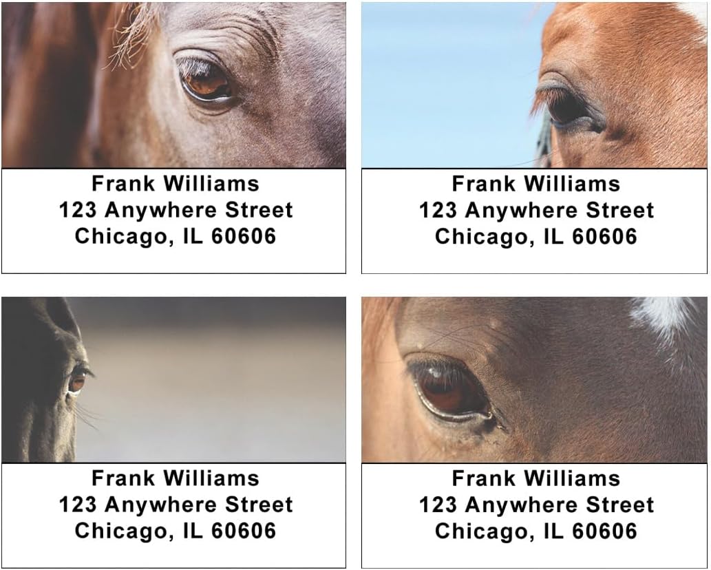 Horse Eyes Address Labels