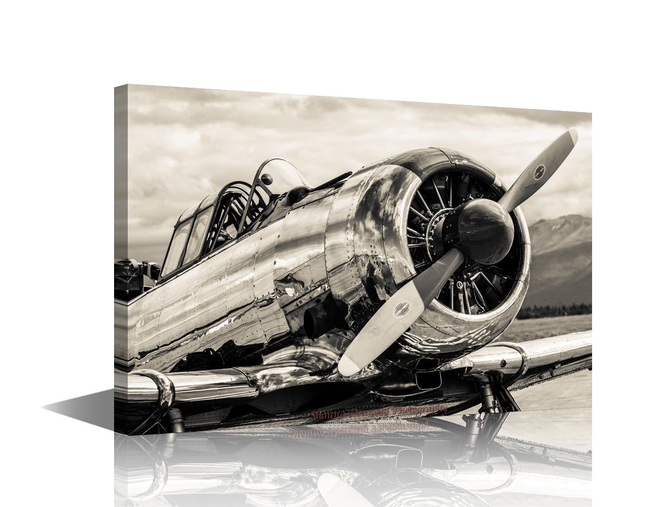 Black White Pictures for Living Room Old Aircraft Engine Painting Giclee Artwork Prints on Canvas Radial Engine Wall Art House Decor Wooden Framed Gallery-Wrapped Ready to Hang 36x24 in