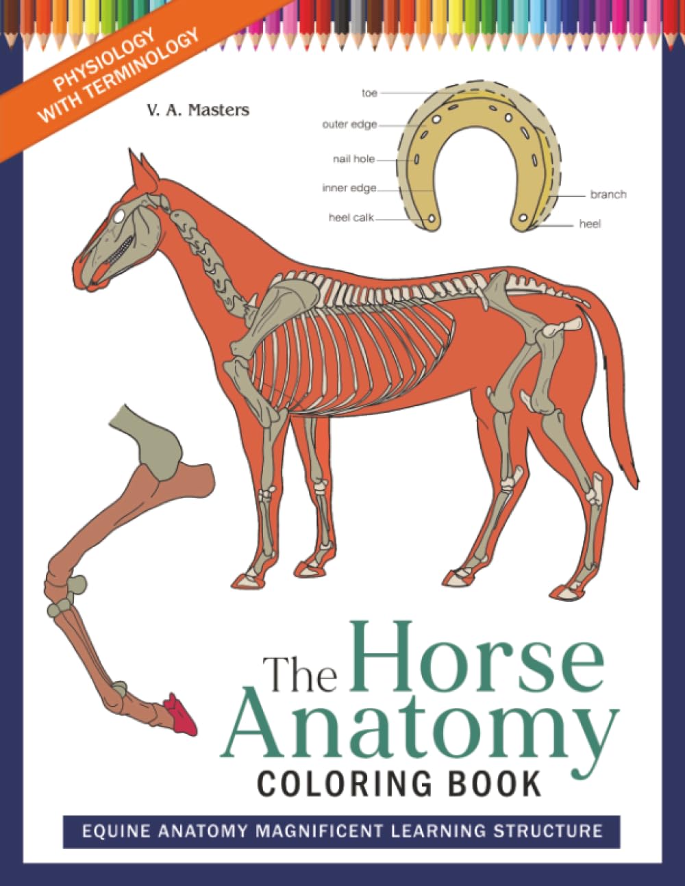 The Horse Anatomy Coloring Book Physiology with Terminology: Equine Anatomy Magnificent Learning Structure (Anatomy to the Max)