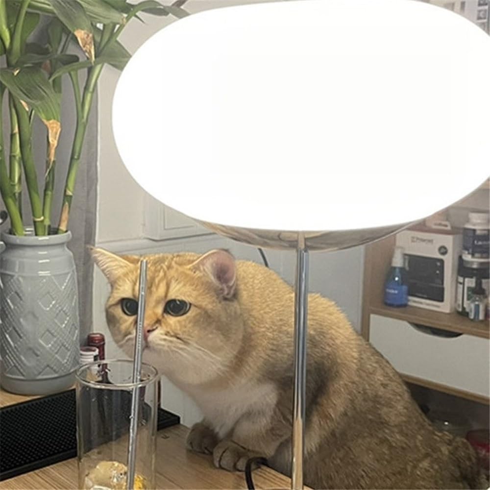 Affascinante Lampada da tavolo in vetro, lampada da comodino, lampada da tavolo in ferro battuto for camera da letto Arredamento per la casa