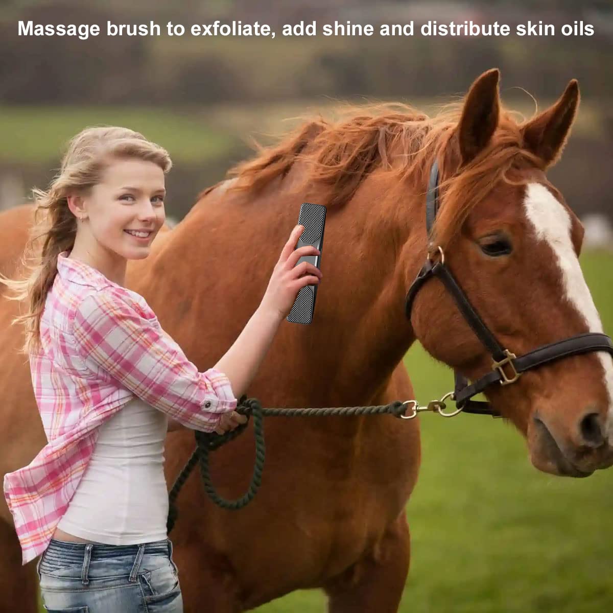 Brosse Massage Cheval, Brosse de Cheval Massage, Brosses de Toilettage de Cheval, Brosses Pour Chevaux, Élimine les Poils, la Boue, la Sueur et la Saleté, Convient aux Chevaux, Chats, Chiens, etc
