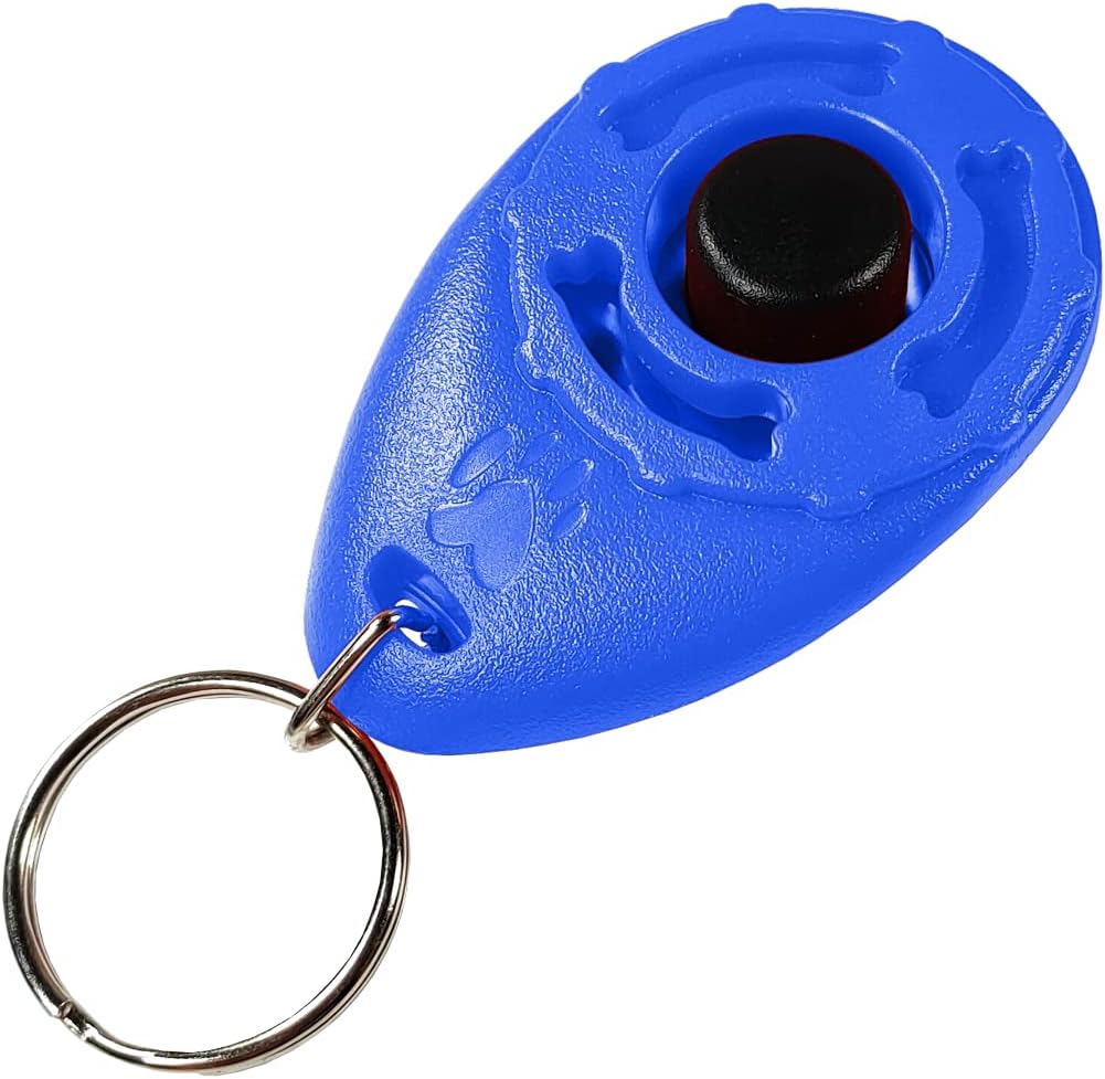 Clicker dressage Powersell en séance extérieure