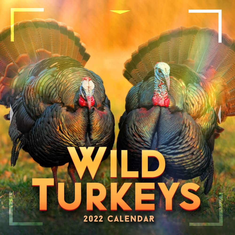 Buy Wild Turkeys 2022 20212022 ,18 months from July 2021 to December