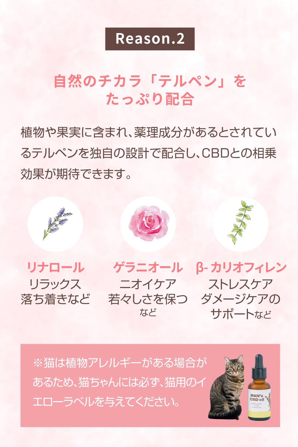 M&N's 犬用CBDオイル 300mg/30mL 2本セット新品 M&N's 犬用CBDオイル 300mg/30mL 2本セット新品