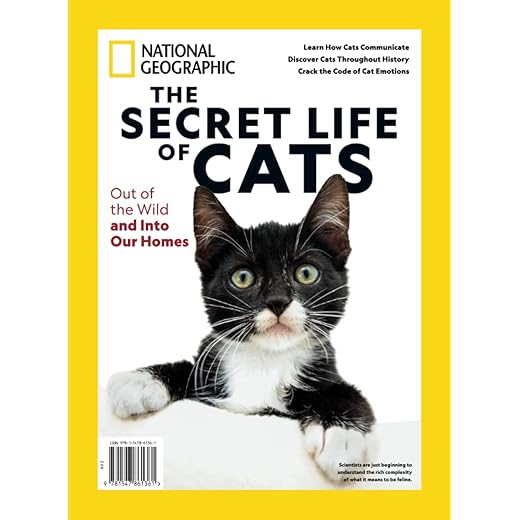 National Geographic Secret Life of Cats