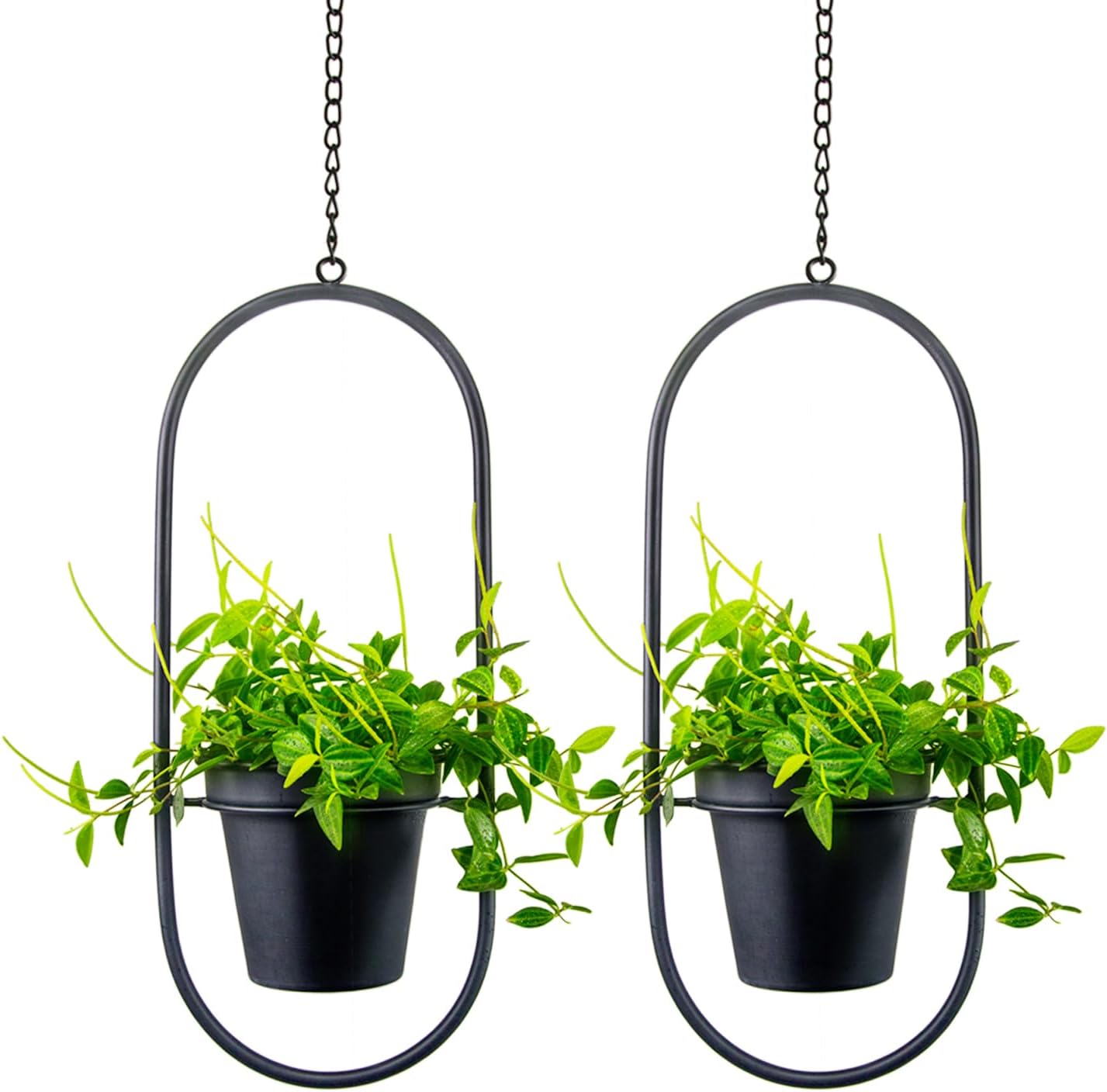 Plantadores Colgantes