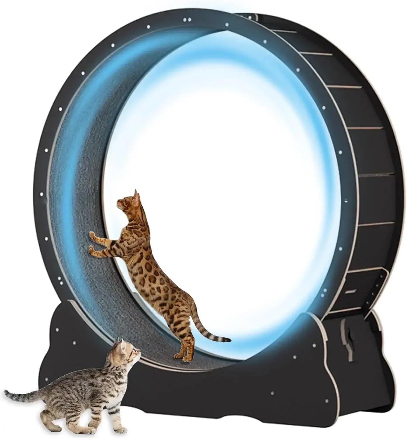 Cinta de Correr de Seguridad for Gatos con Cerradura, diseño de Espacio reducido, Juguetes for Gatos, artículos for Mascotas, Productos de Peluche interesantes for Gatos