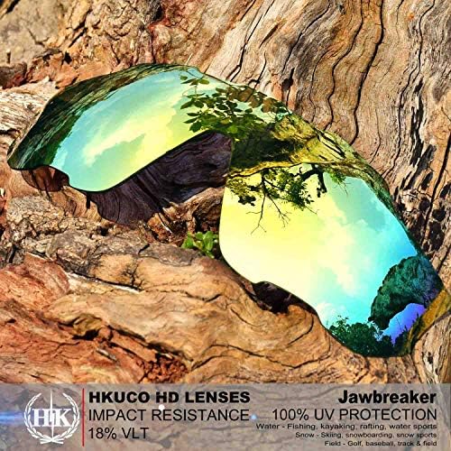 Amazon.co.jp: 24K Gold/Transition/Photochromic偏光 置換 レンズ
