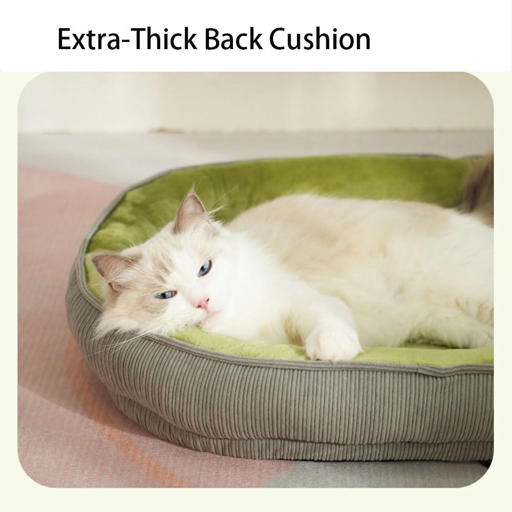 Generico Cuccia per Gatto Lavabile, Morbida Cuccia in Peluche con Bordi Rialzati, Letto Ortopedico con Rivestimento Rimovibile, Comodo per Gatti da Casa(Medium)