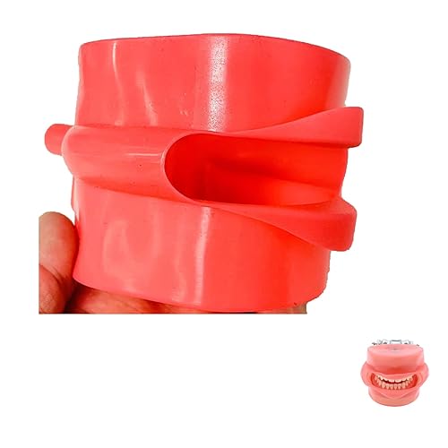 Dientes Typodont Modelo Soft Gum Simulation Cheek,mejillas artificiales adecuadas para montar modelo de dientes